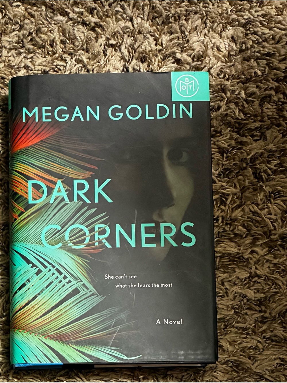 Dark Corners Hardcover - Black & Teal Cover